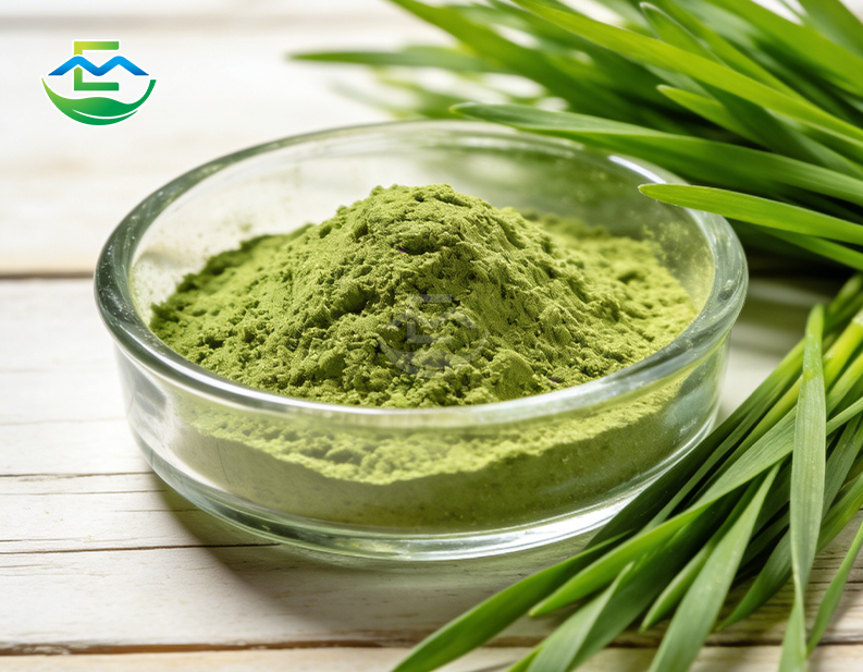 Barley Grass Extract